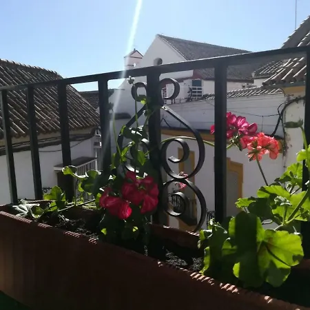 Апартаменты A Escasos Metros De La Mezquita