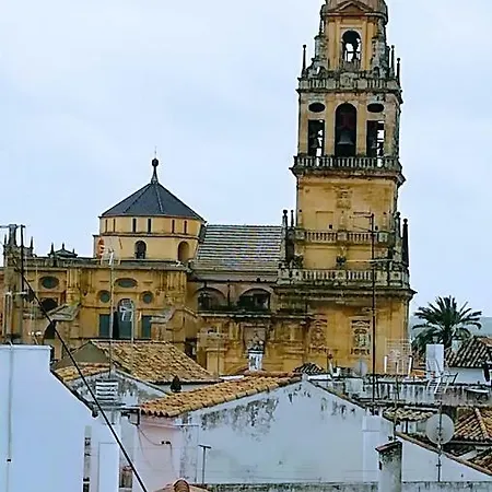 A Escasos Metros De La Mezquita Apartment *